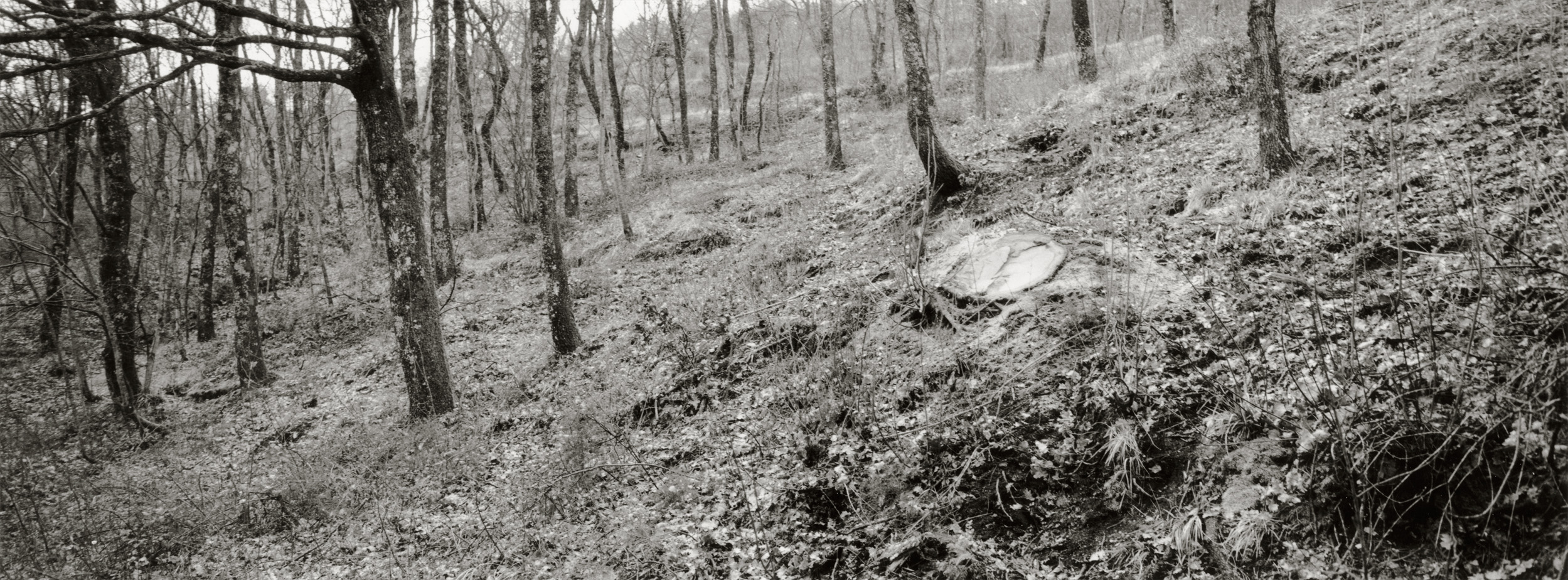 Untitled #2, 2017-2019 from the series 'Eufonie'- Gelatin silver print 34,8x12,8 cm