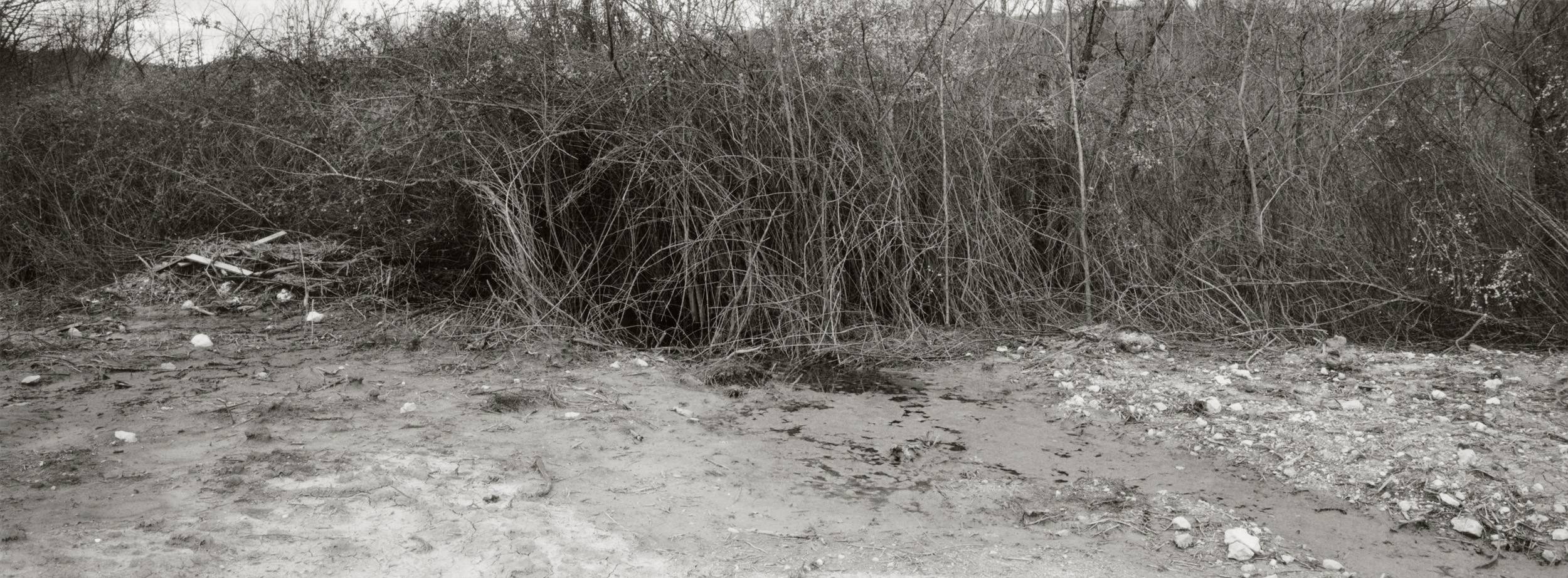 Untitled #3, 2017-2019 from the series 'Eufonie'- Gelatin silver print 34,8x12,8 cm