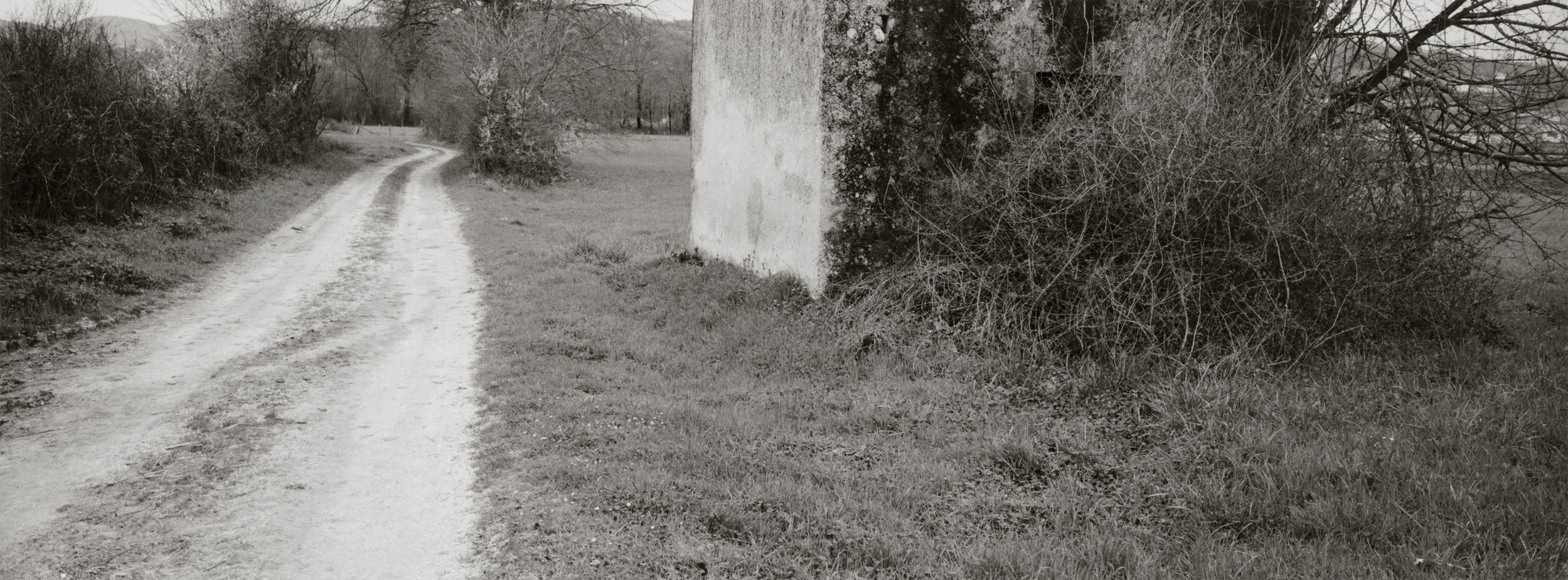 Untitled #6, 2017-2019 from the series 'Eufonie'- Gelatin silver print 34,8x12,8 cm