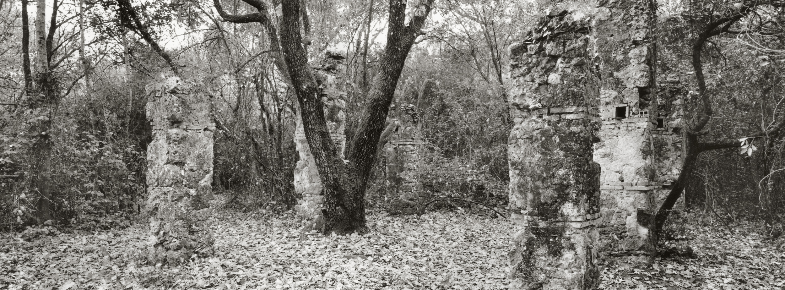 Untitled #7 2017-2019 from the series 'Eufonie'- Gelatin silver print 34,8x12,8 cm