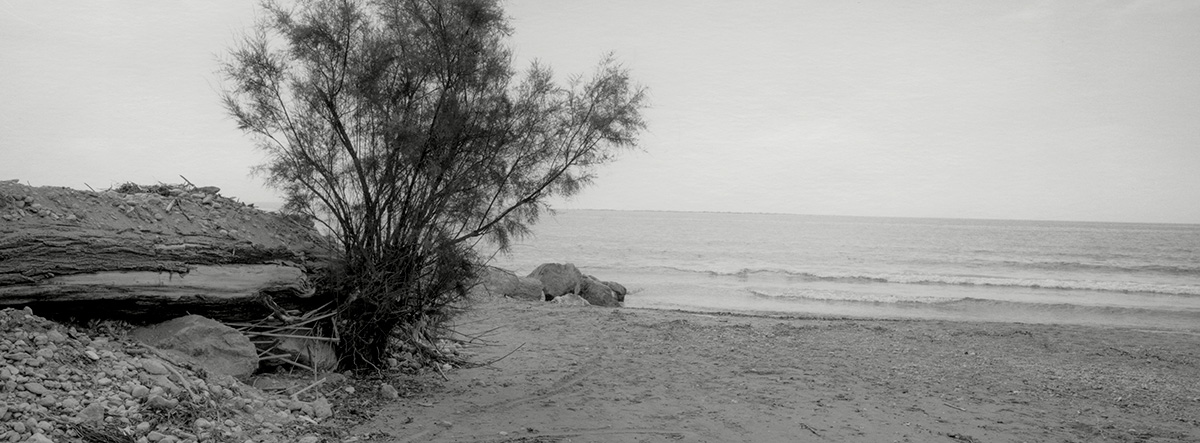 Untitled #04, 2019-2023 from the series 'Nulla è più vero del nulla' - Gelatin silver print 35x13 cm