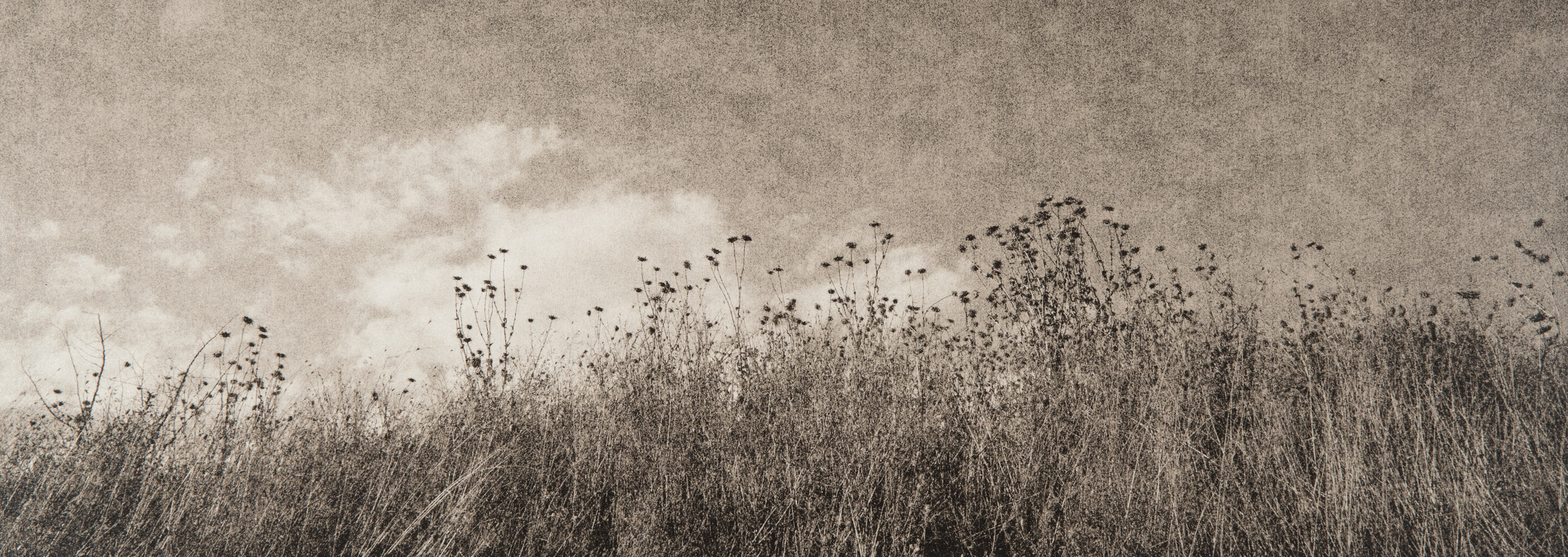 Untitled #1, 2014-2016 from the series 'Se non avessi visto' Gelatin silver lith print 45,5x16,5 cm Unique Artwork
