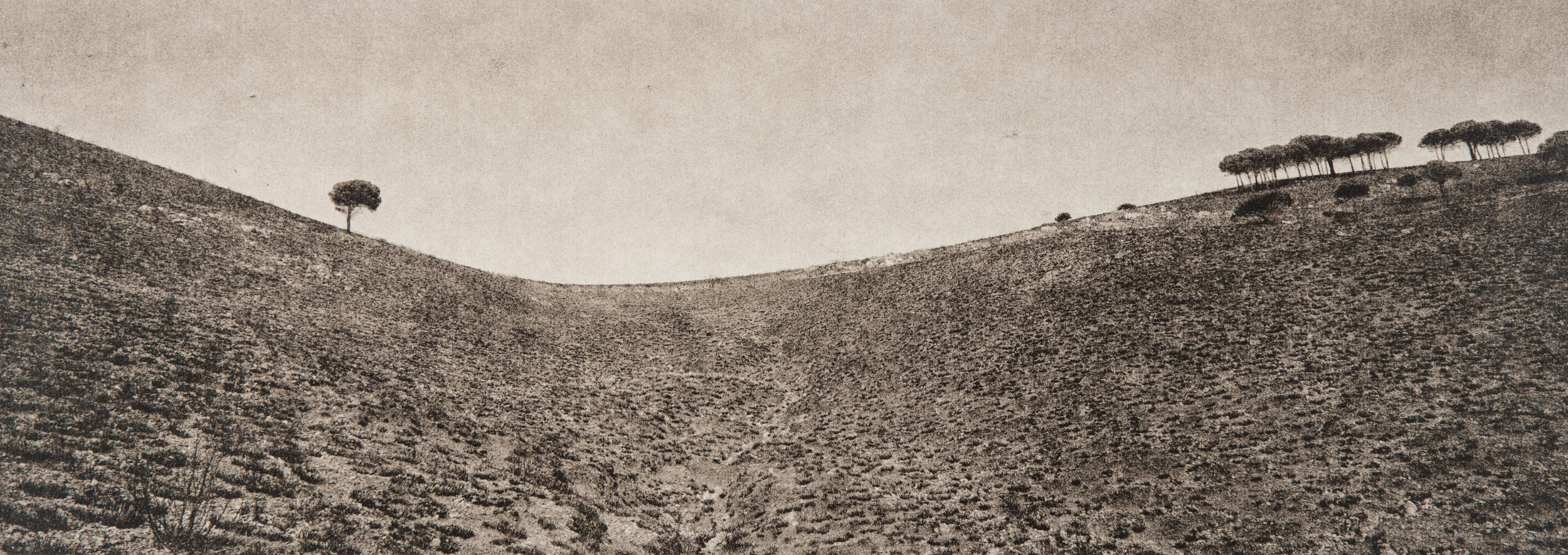 Untitled #2, 2014-2016 from the series 'Se non avessi visto' Gelatin silver lith print 45,5x16,5 cm Unique Artwork