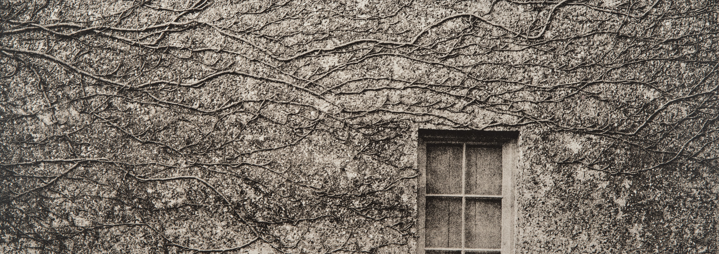 Untitled #10, 2017-2019 from the series 'Eufonie'- Gelatin silver print 34,8x12,8 cm