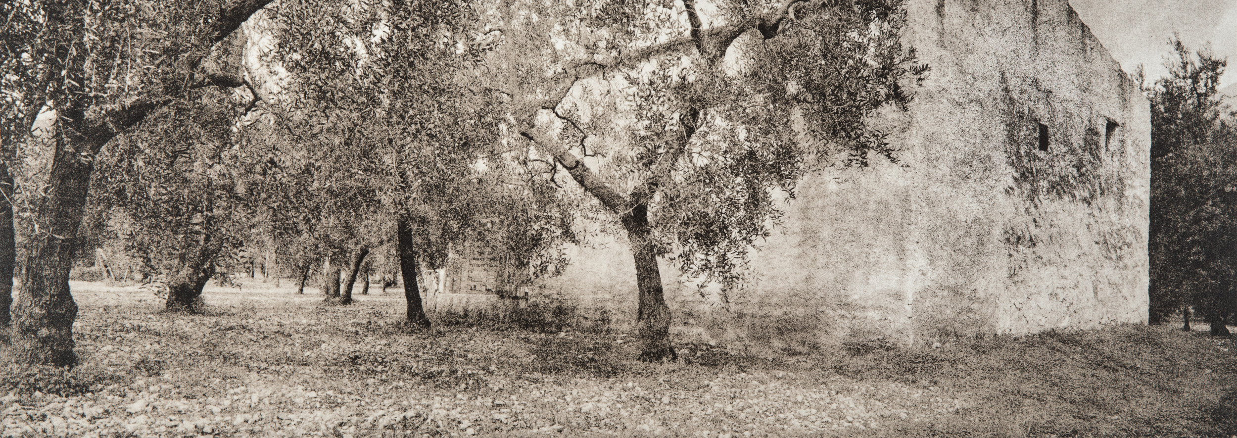 Untitled #13, 2014-2016 from the series 'Se non avessi visto' Gelatin silver lith print 45,5x16,5 cm Unique Artwork