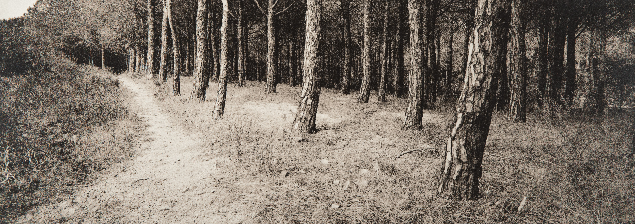Untitled #14, 2014-2016 from the series 'Se non avessi visto' Gelatin silver lith print 45,5x16,5 cm Unique Artwork