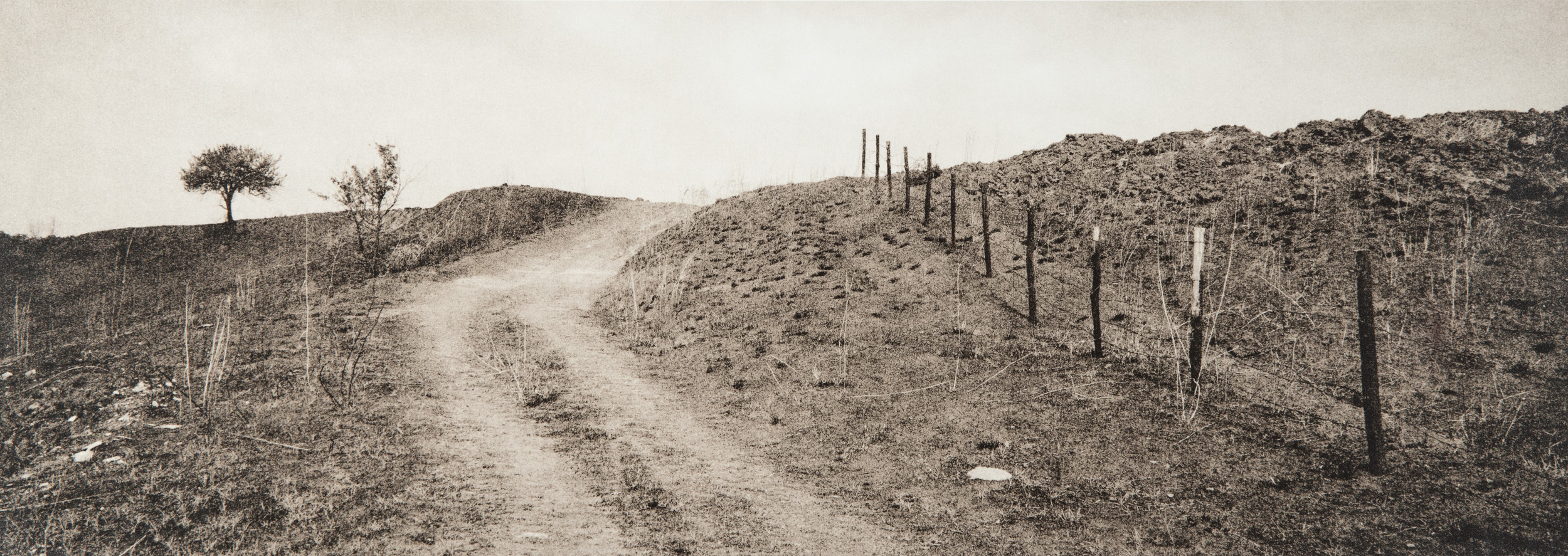 Untitled #15, 2014-2016 from the series 'Se non avessi visto' Gelatin silver lith print 45,5x16,5 cm Unique Artwork