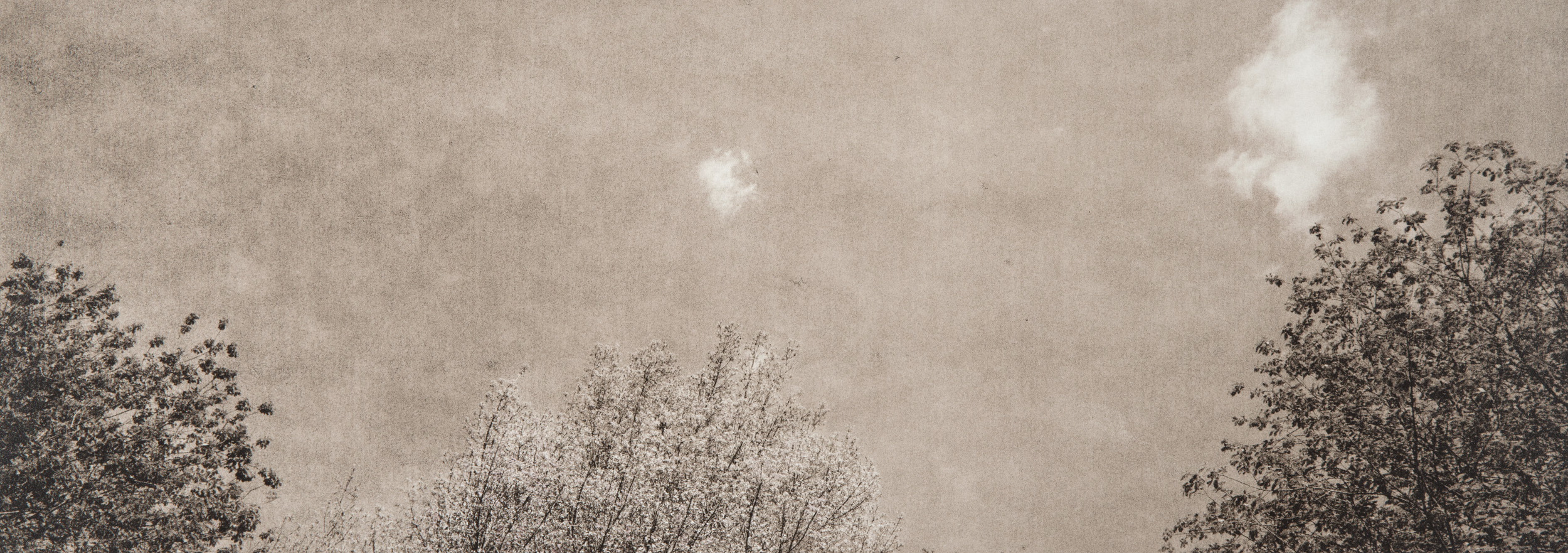 Untitled #16, 2014-2016 from the series 'Se non avessi visto' Gelatin silver lith print 45,5x16,5 cm Unique Artwork